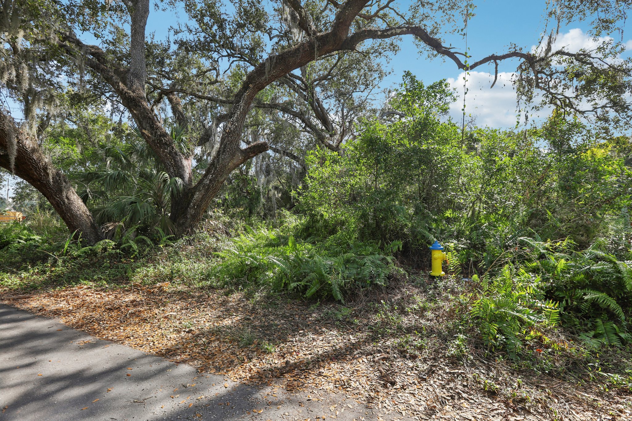 Linda Dr-S1301-048.jpg