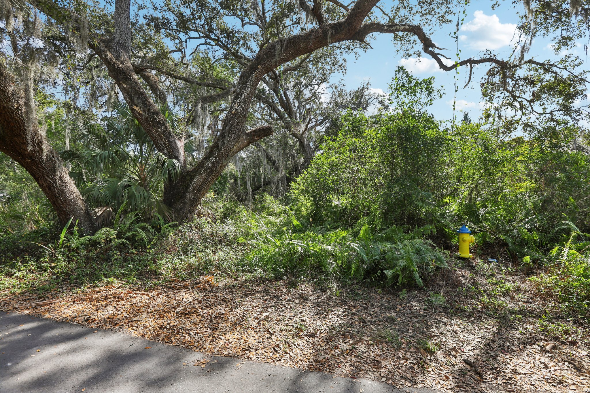 Linda Dr-S1301-049.jpg