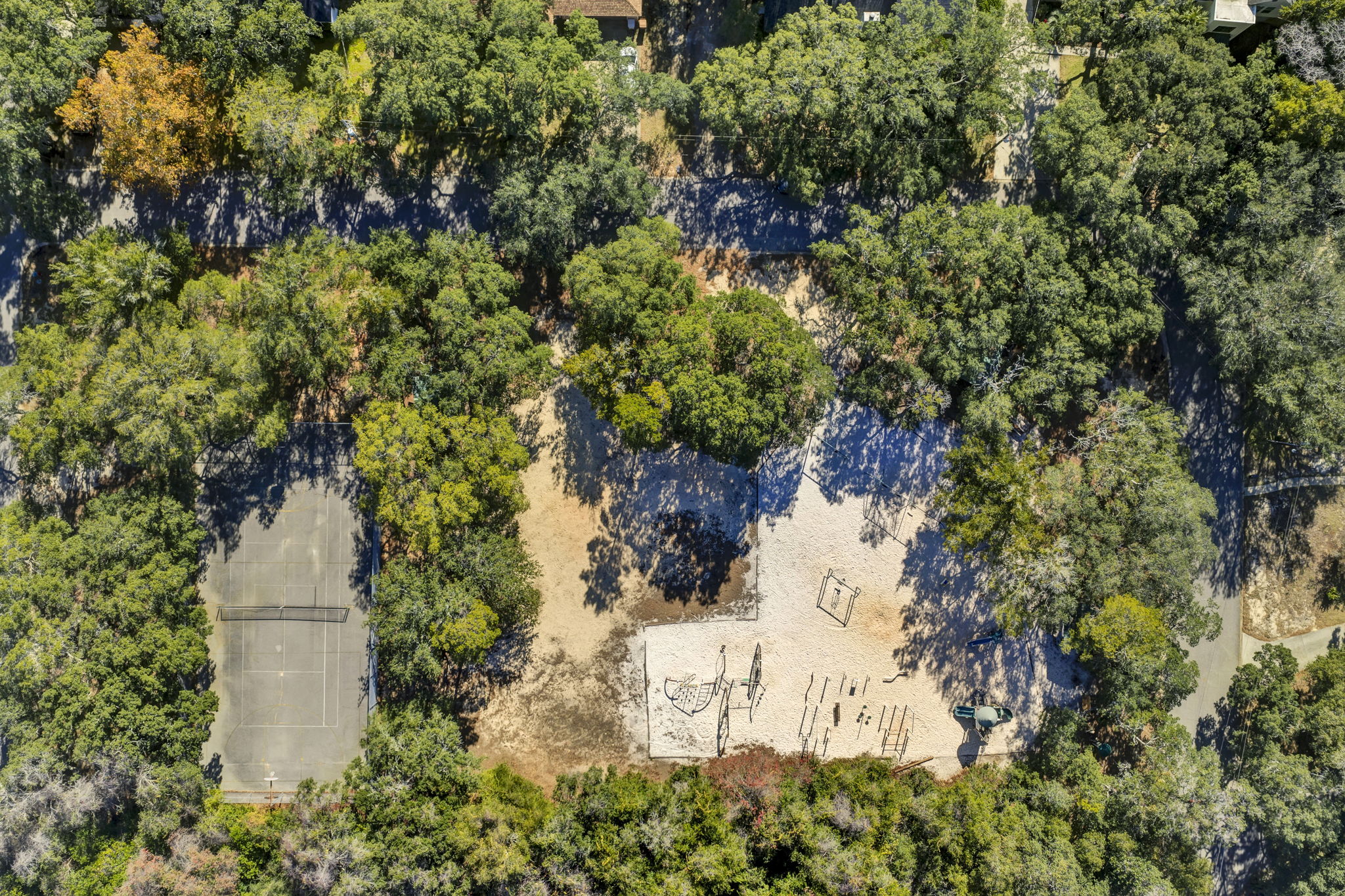 1271 Ainsworth Dr M4P 16