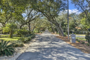 1271 Ainsworth Dr M4P 1