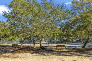 1271 Ainsworth Dr M4P 13