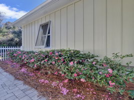 1271 Ainsworth Dr 38