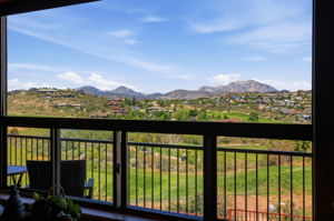 Living Room Views