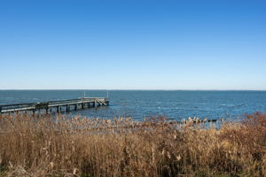 1274-Duck-Rd-Deck-View-V2