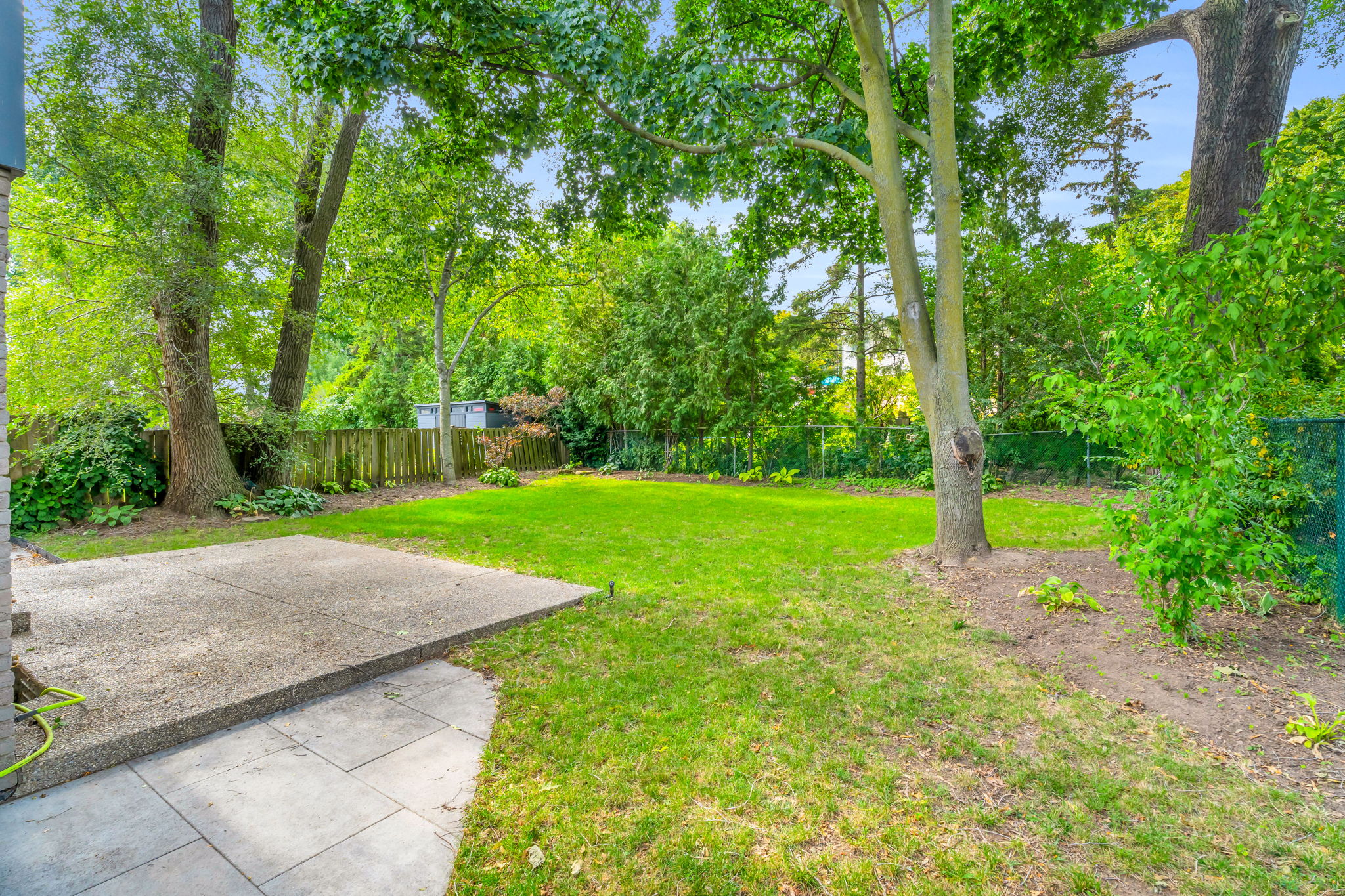 Backyard