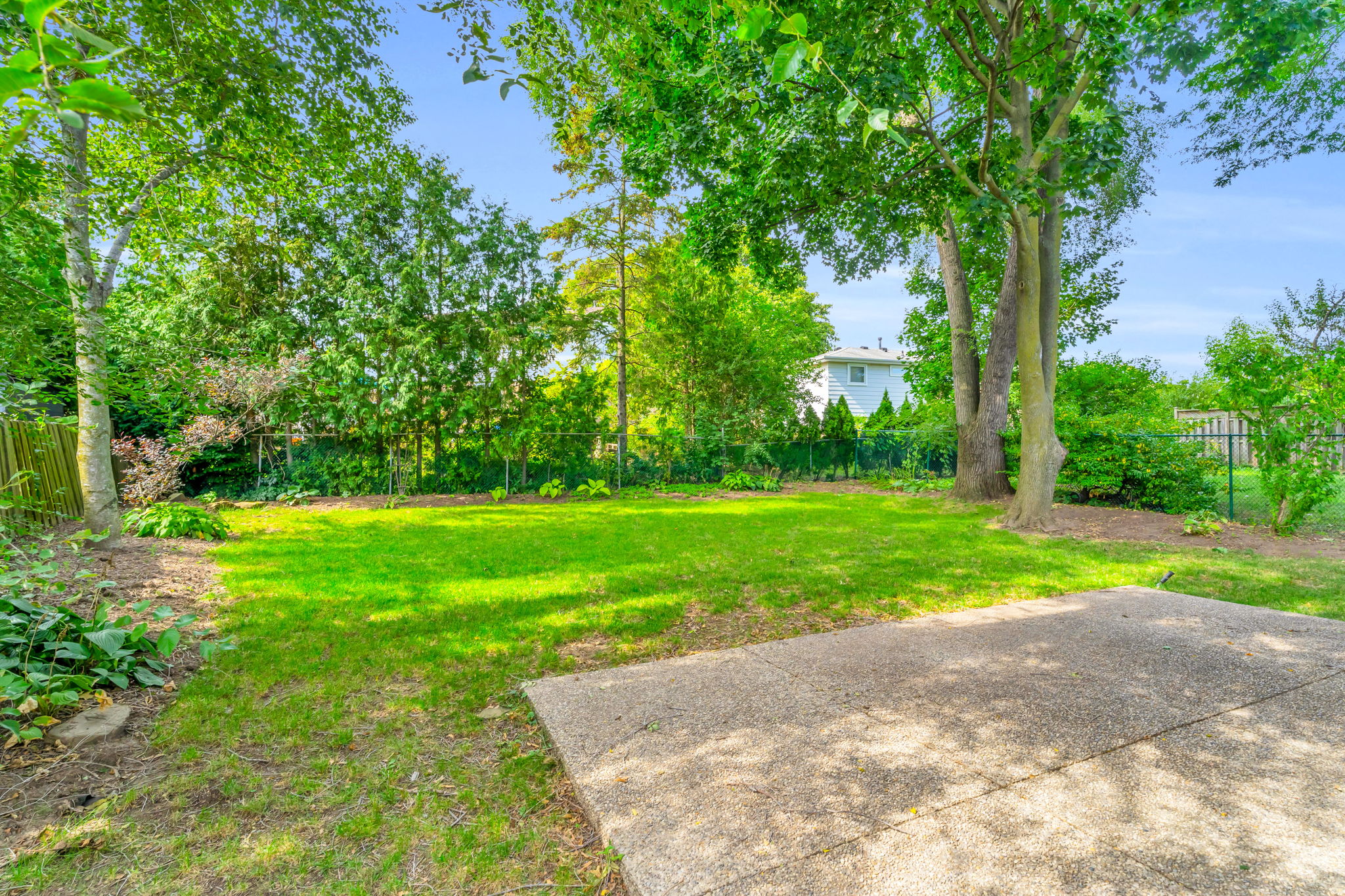 Backyard