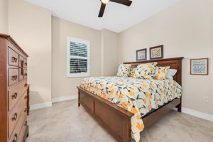 Guest Bed