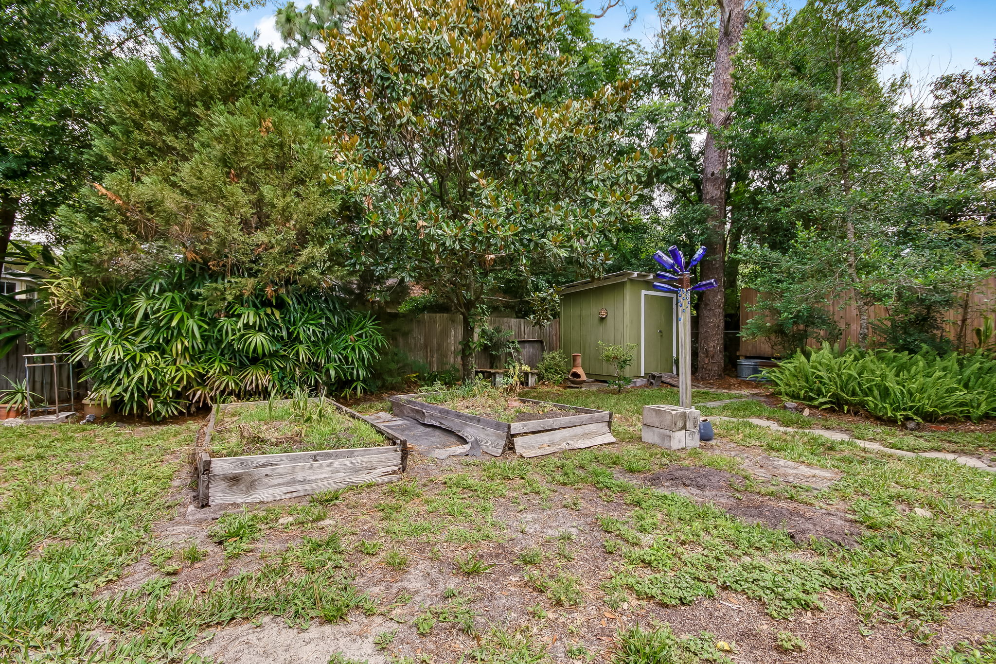 Back Yard