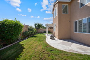  Photo 41