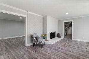 Downstairs Den 4