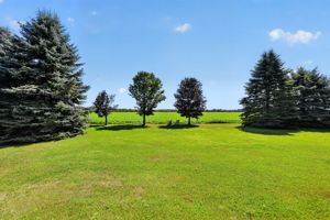  Photo 90