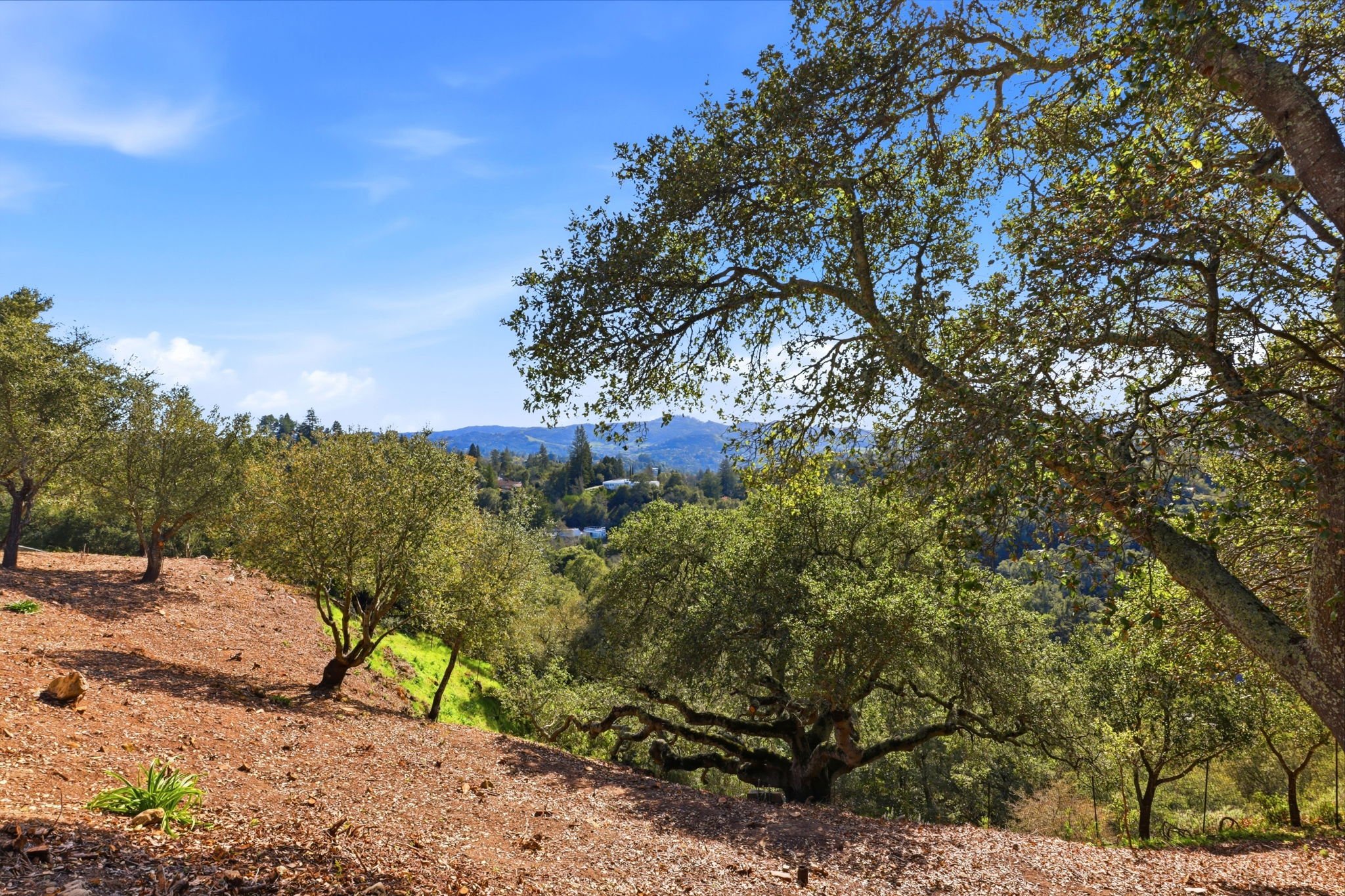 070_F8_128 Diablo View Dr