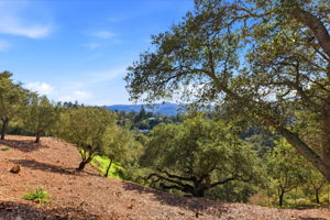 070_F8_128 Diablo View Dr