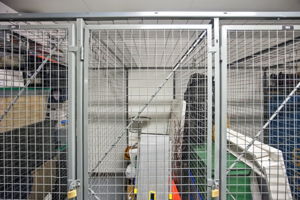  Photo 48