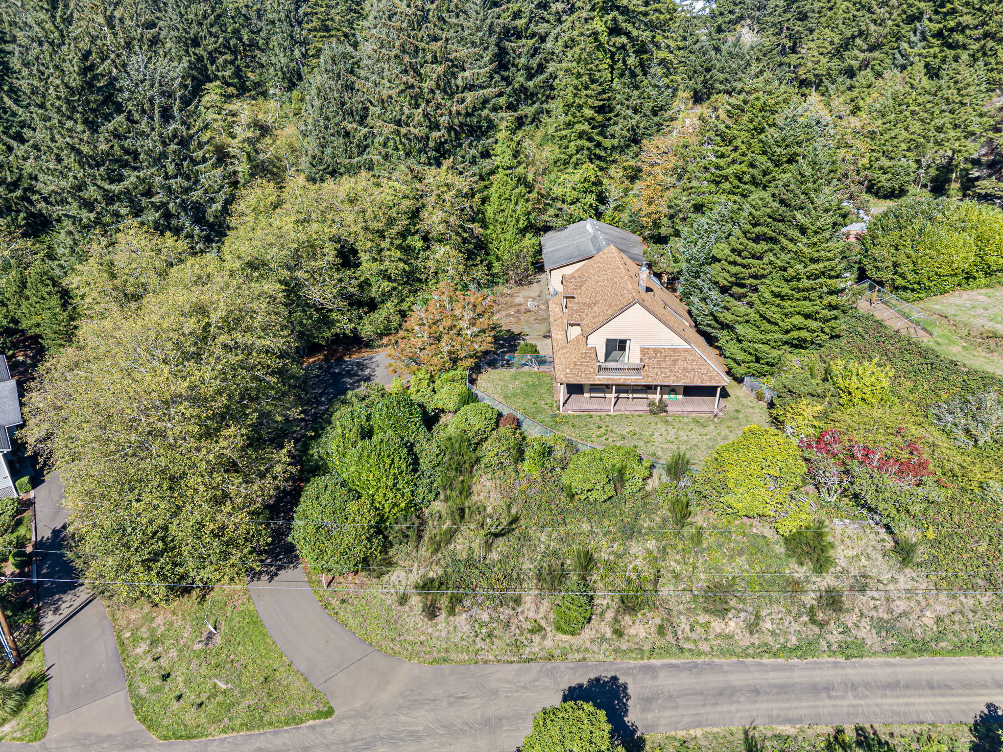  Photo 80