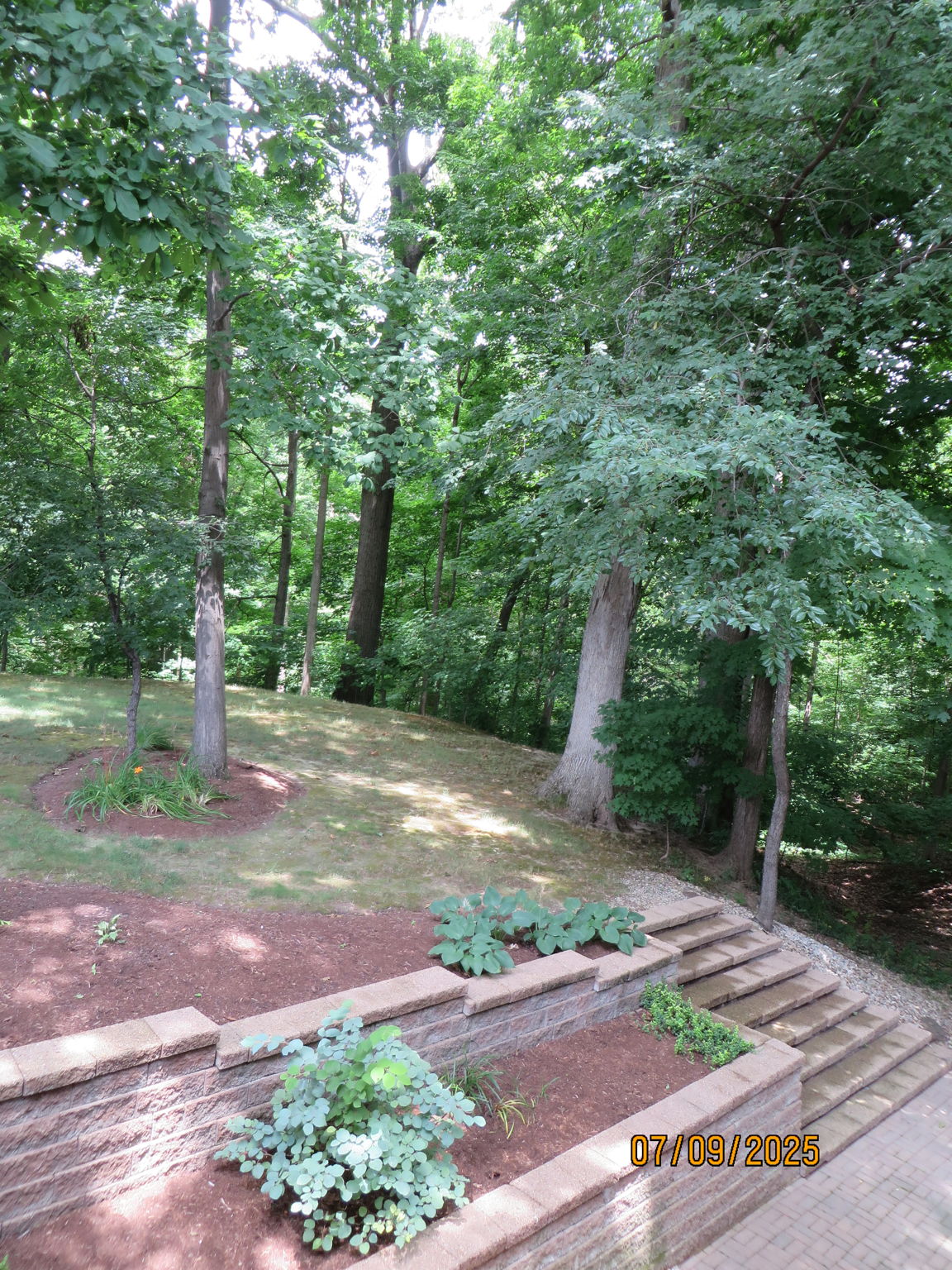 Exterior photo from 2025 showing leaves in full bloom