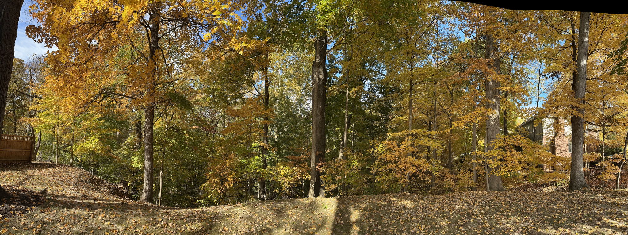 Exterior photo from 2025 showing leaves in full bloom
