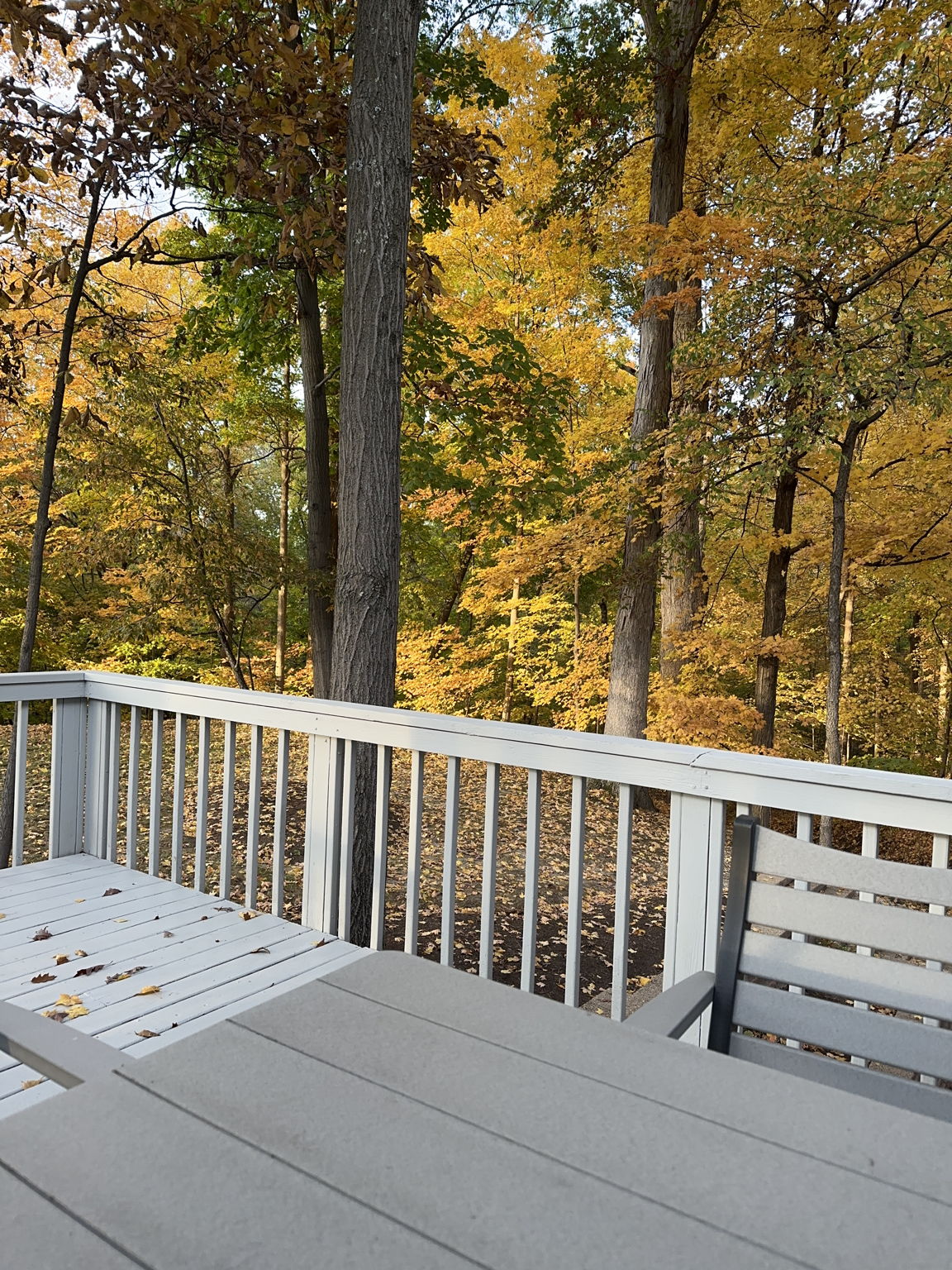 Exterior photo from 2025 showing leaves in full bloom