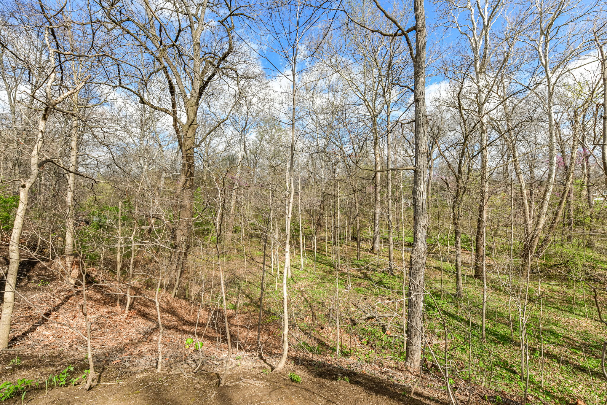 1.44 acre lot on a quiet cut-de-sac