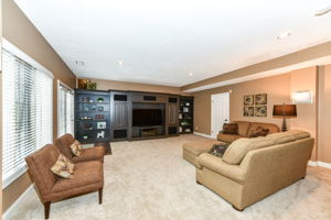 Huge Family Room in the Walk-out Lower Level with Custom Entertainment Center