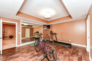 Home Gym in the Lower Level