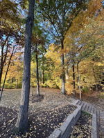 Exterior photo from 2025 showing leaves in full bloom