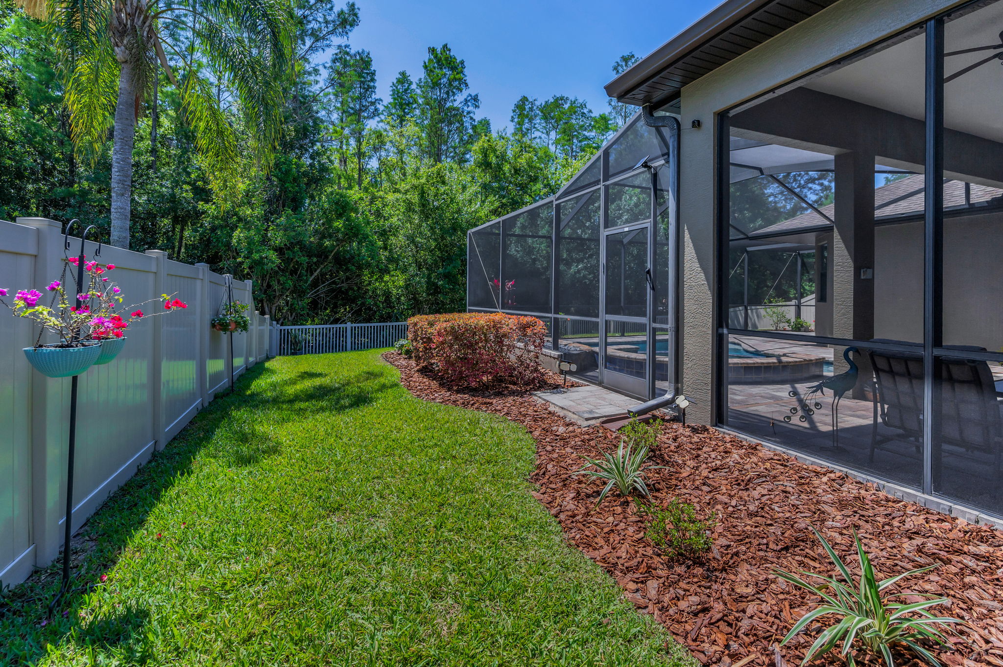 Backyard1