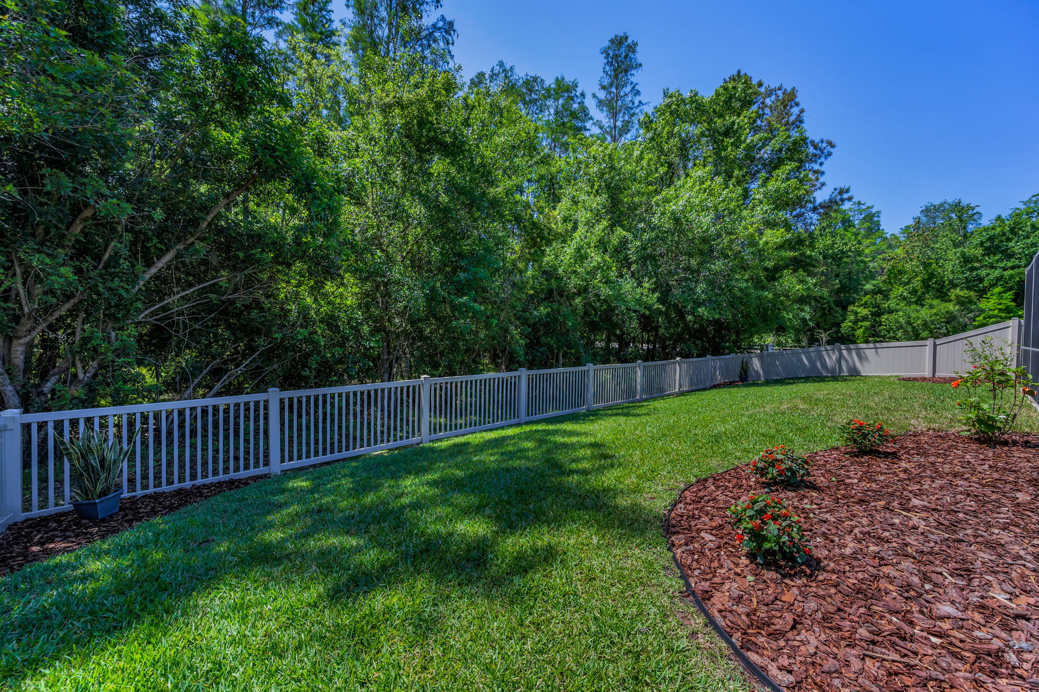 Backyard2