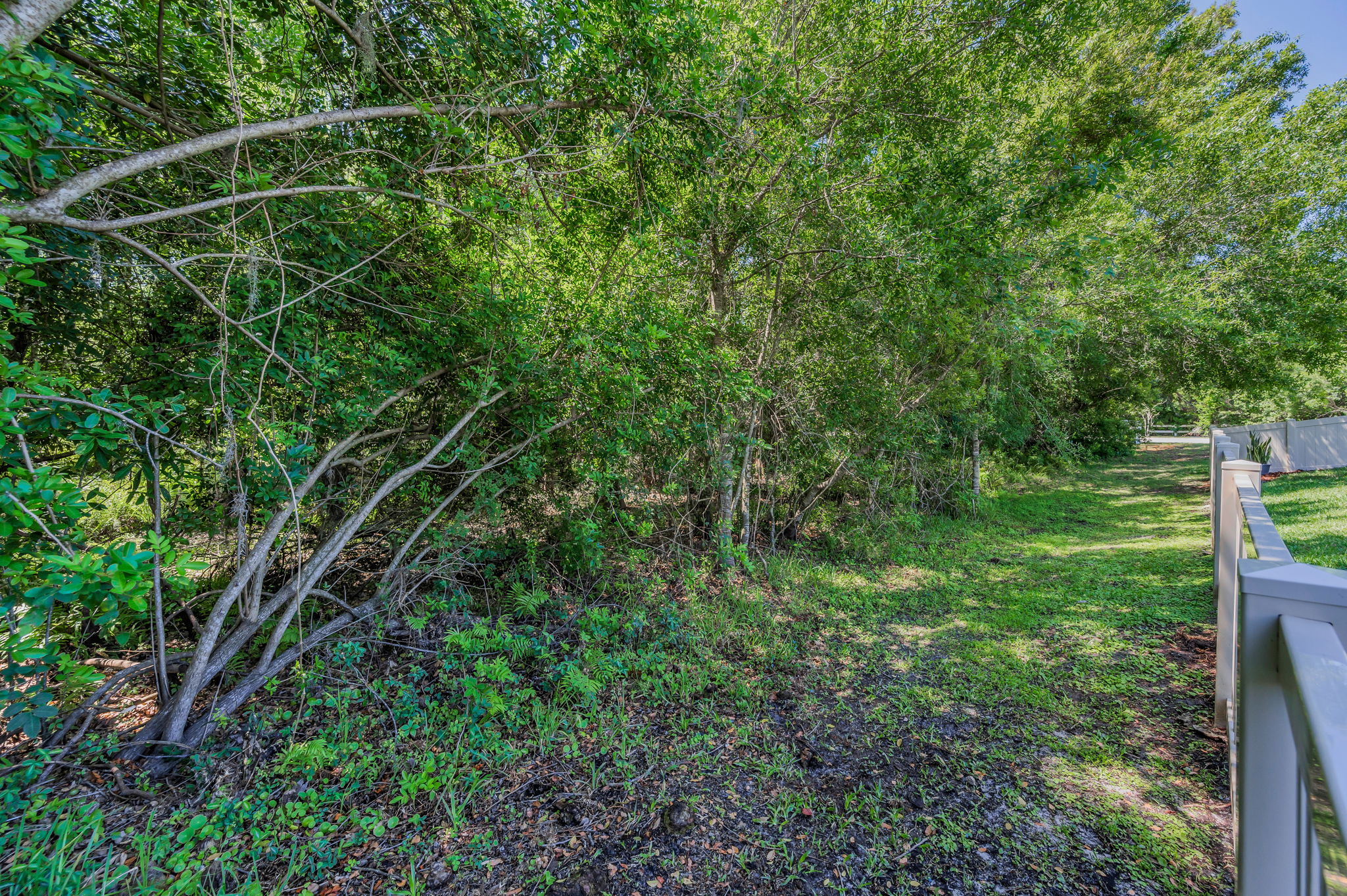 Backyard3 View