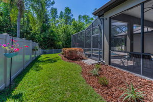 Backyard1