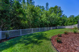 Backyard2