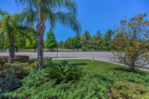 Frontyard1