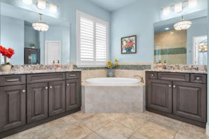 Master Bathroom1c