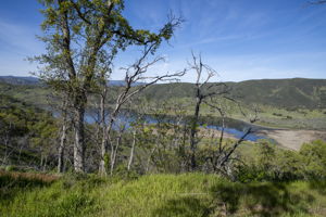  Photo 0