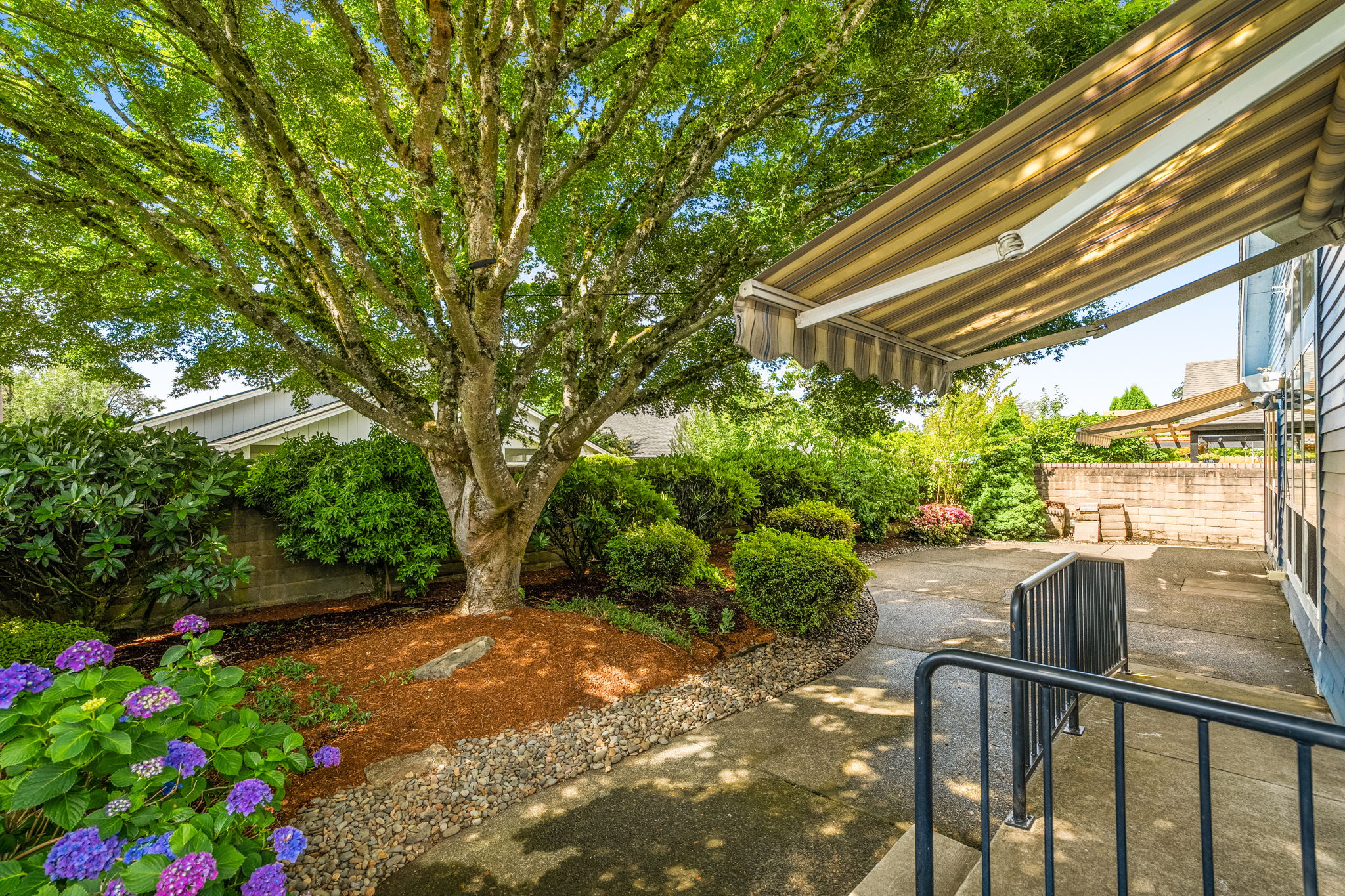 Backyard - Fenced