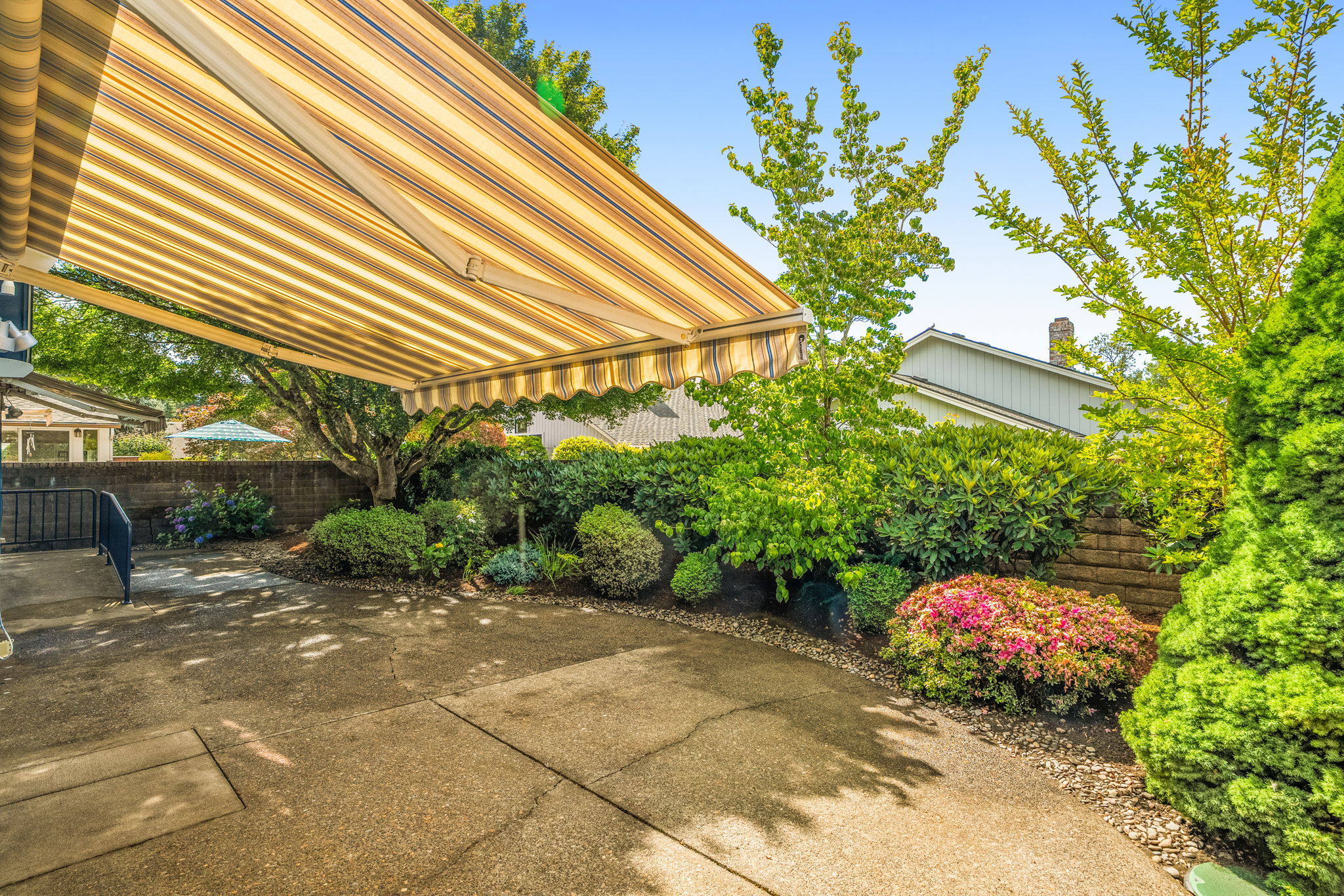 Patio - Backyard