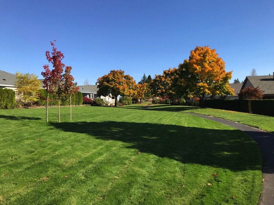 Community Amenities