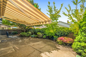 Patio - Backyard