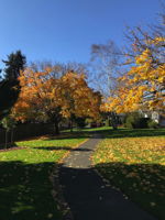 Community Amenities