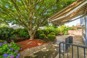Backyard - Fenced