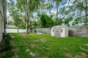 Backyard 1D