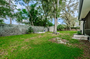 Backyard 1E