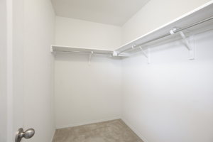 12815 Fireside Chat St, Manor, TX 78653, USA Photo 17