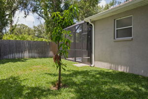  Photo 51