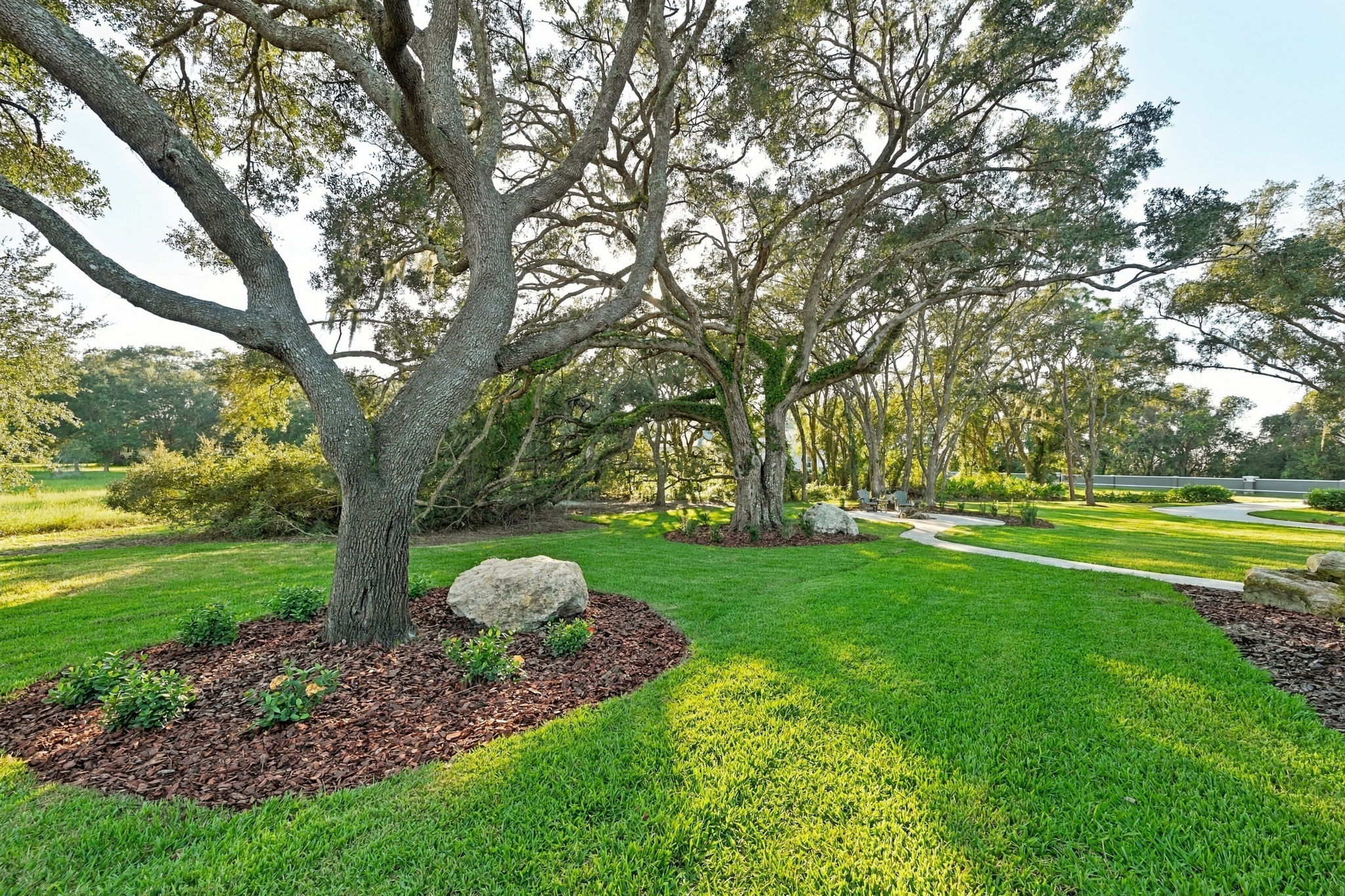 Backyard1