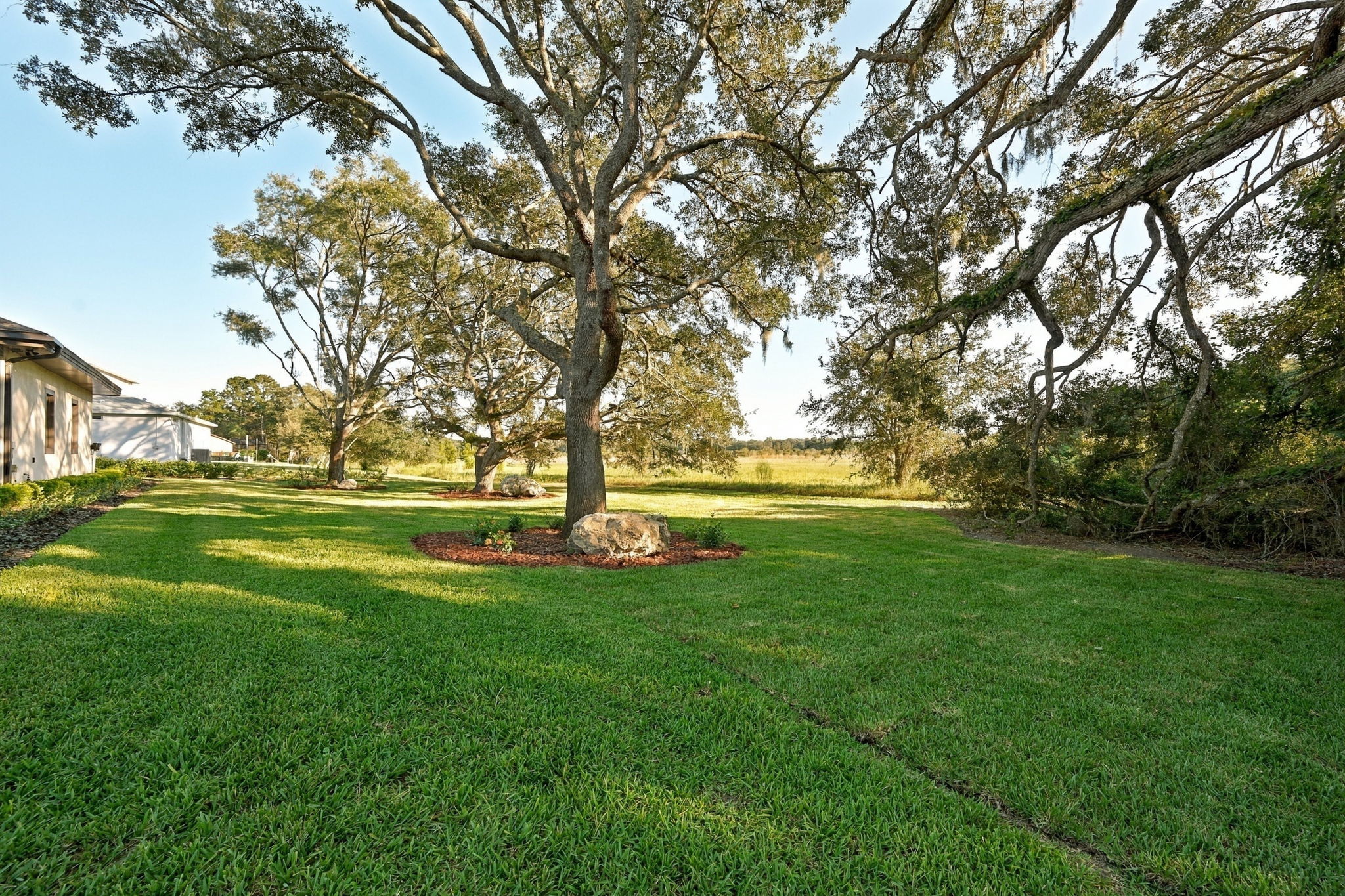 Backyard4
