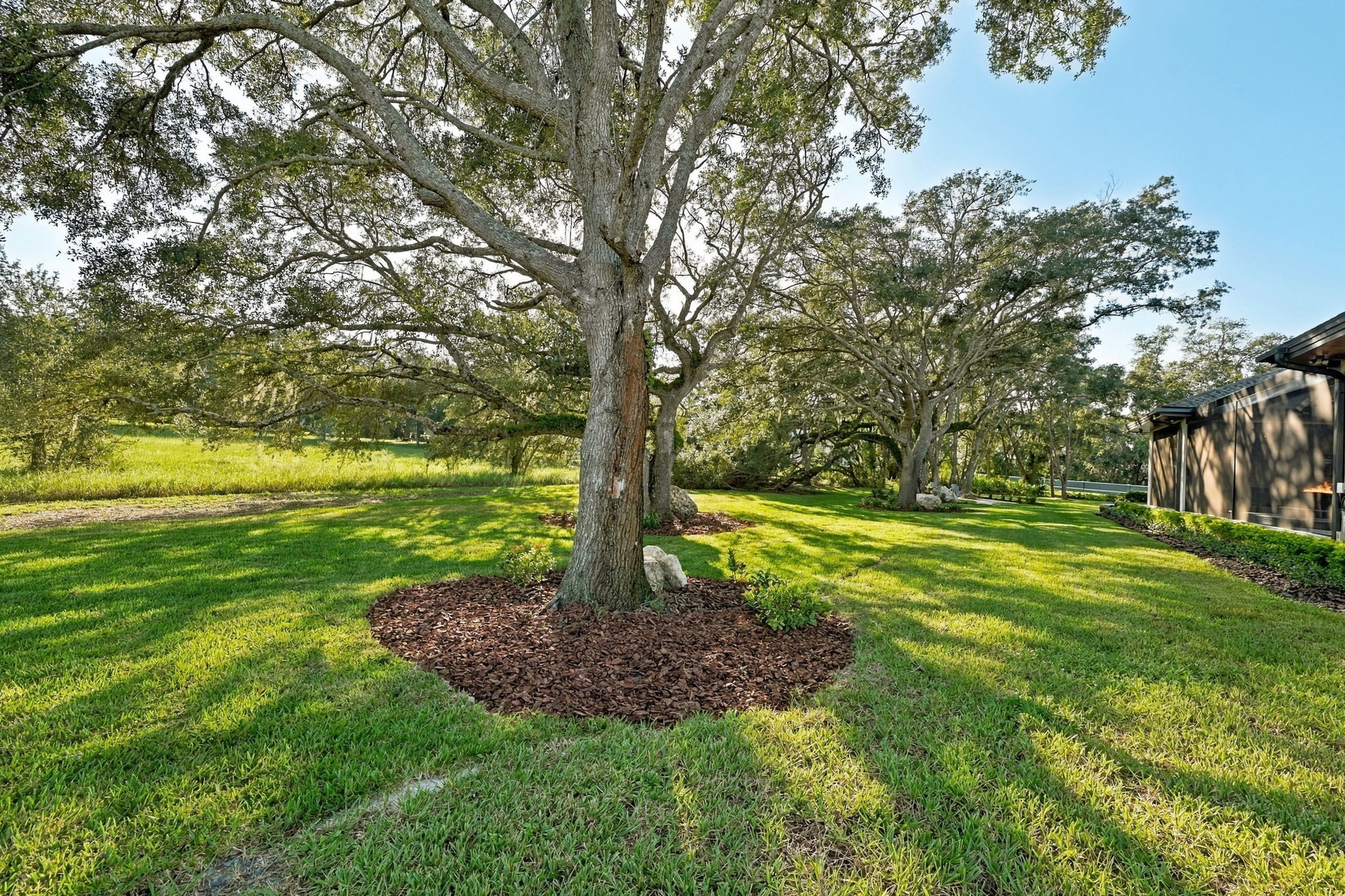 Backyard14