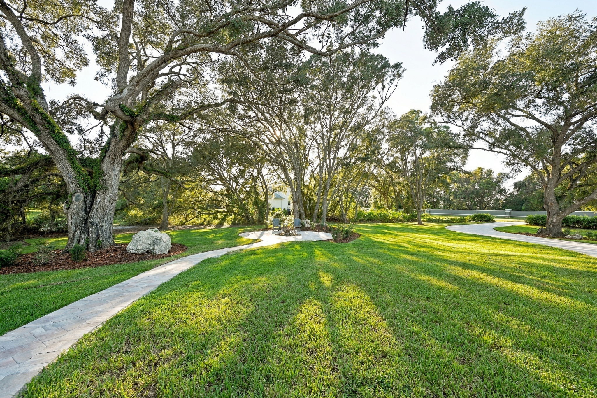 Backyard15