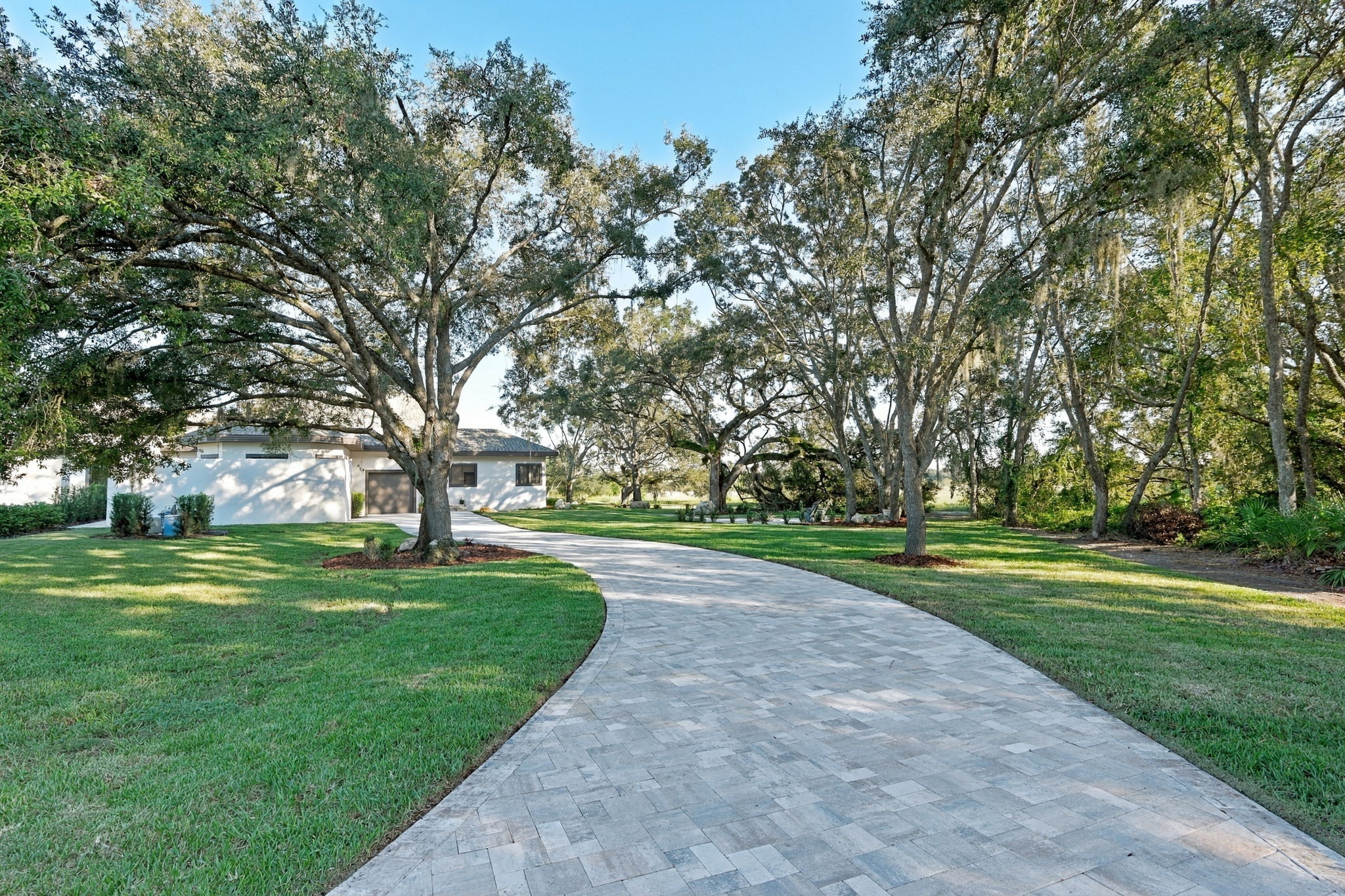 Rear Driveway2