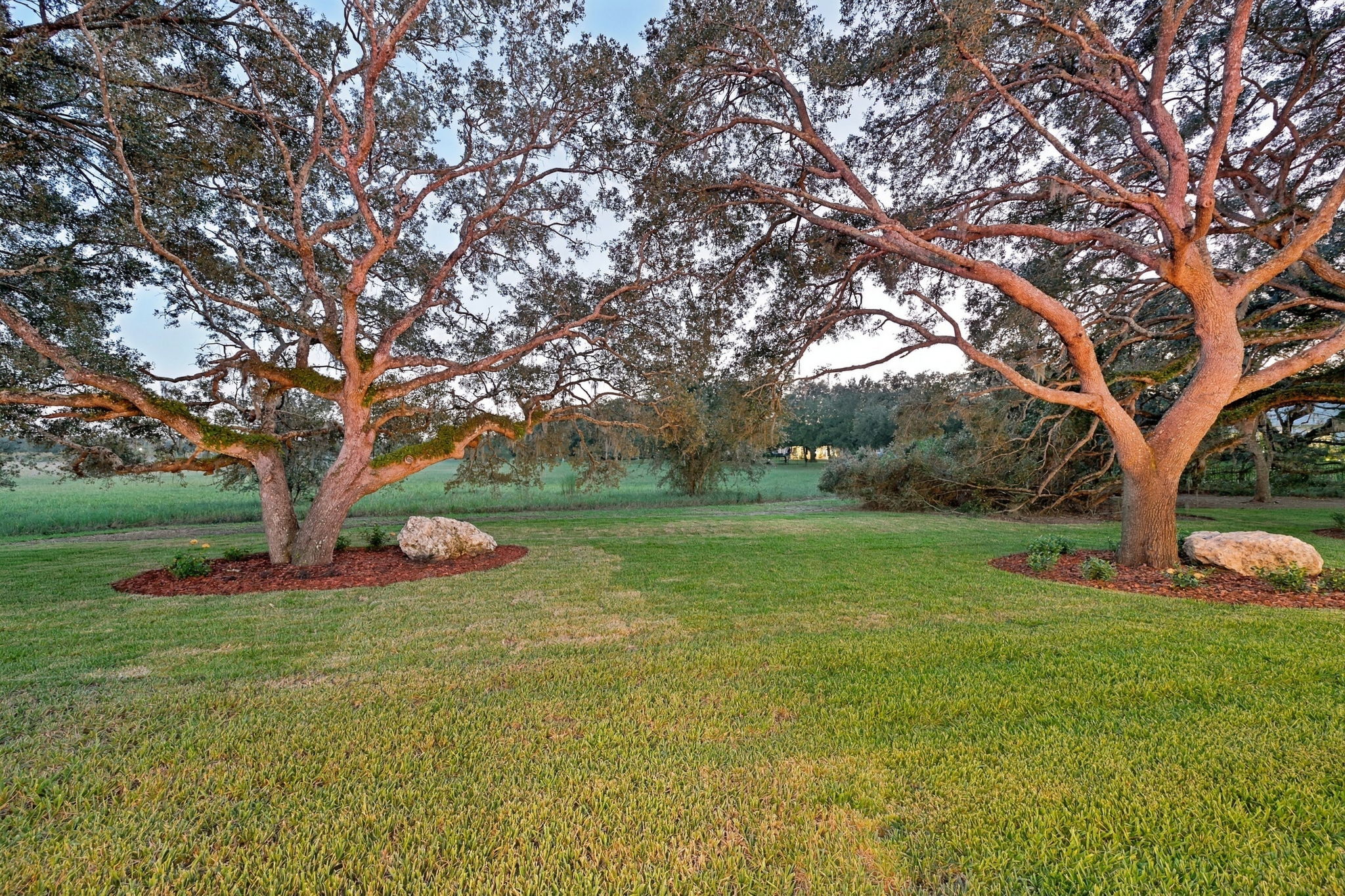 Backyard23
